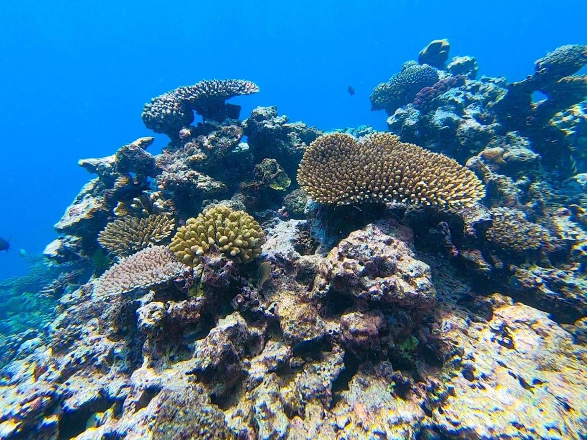นาซามา รีสอร์ท พอร์ตวิลา ภายนอก รูปภาพ